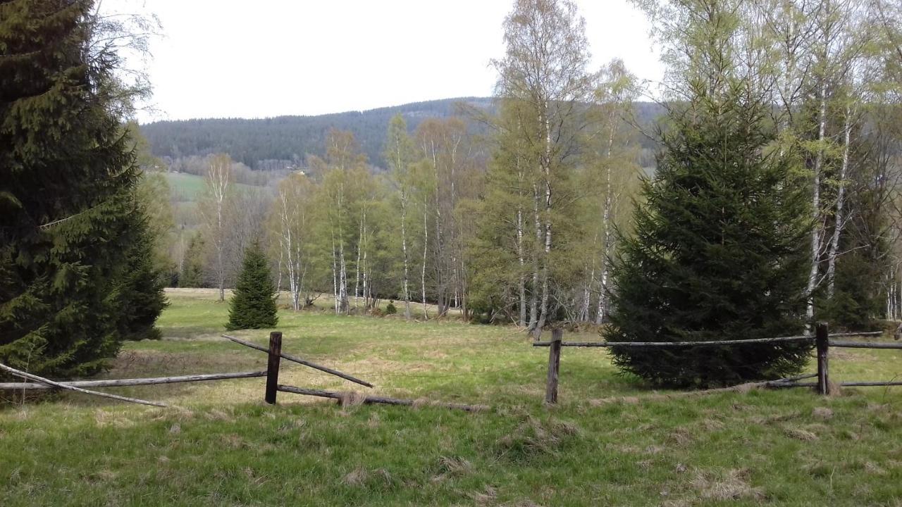Sumavsky Buk 14 Brcalnik Apartment